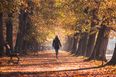 Dr. Alex George on how walking can help your mental health