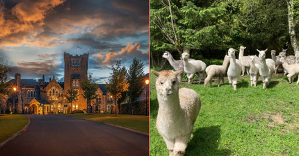 The Hidden Heartlands: Why the underrated Roscommon should be on your ‘staycay’ list