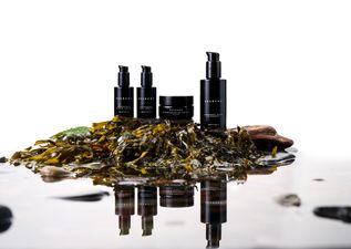 Seabody skincare: Unlocking the superpowers of Irish seaweed