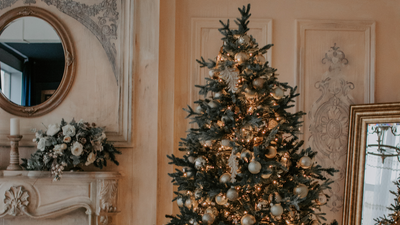 Experts have figured out the best date to put up your Christmas tree