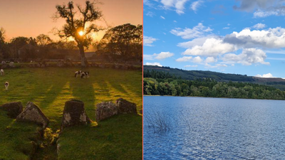 Five beautiful walks to take your dog on this New Year’s Day