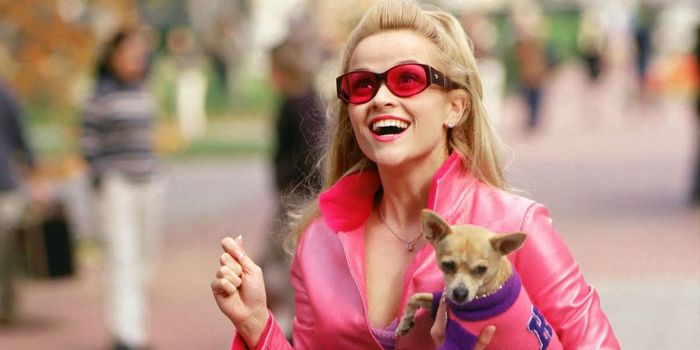 Legally Blonde