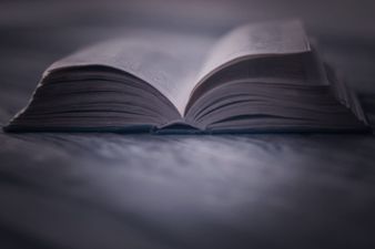 ‘If you love a good mystery thriller, Freida McFadden should be your new go-to author’