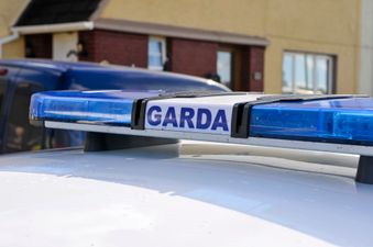 Woman in critical condition after being hit by van in Dublin