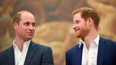 Prince William and Prince Harry reunite in honour of Diana