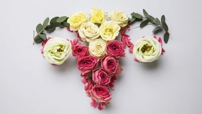 What is a decidual cast? Explaining the period phenomenon