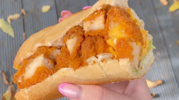 chicken fillet roll