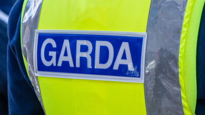 Pitbull shot after third major dog attack in Ireland in recent weeks