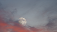 Four signs that will be affected by the Strawberry Full Moon