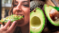 People only just realising avocados might not actually be vegan