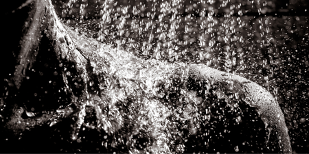 Seven reasons you should try cold showers – from mood boost to improved immunity