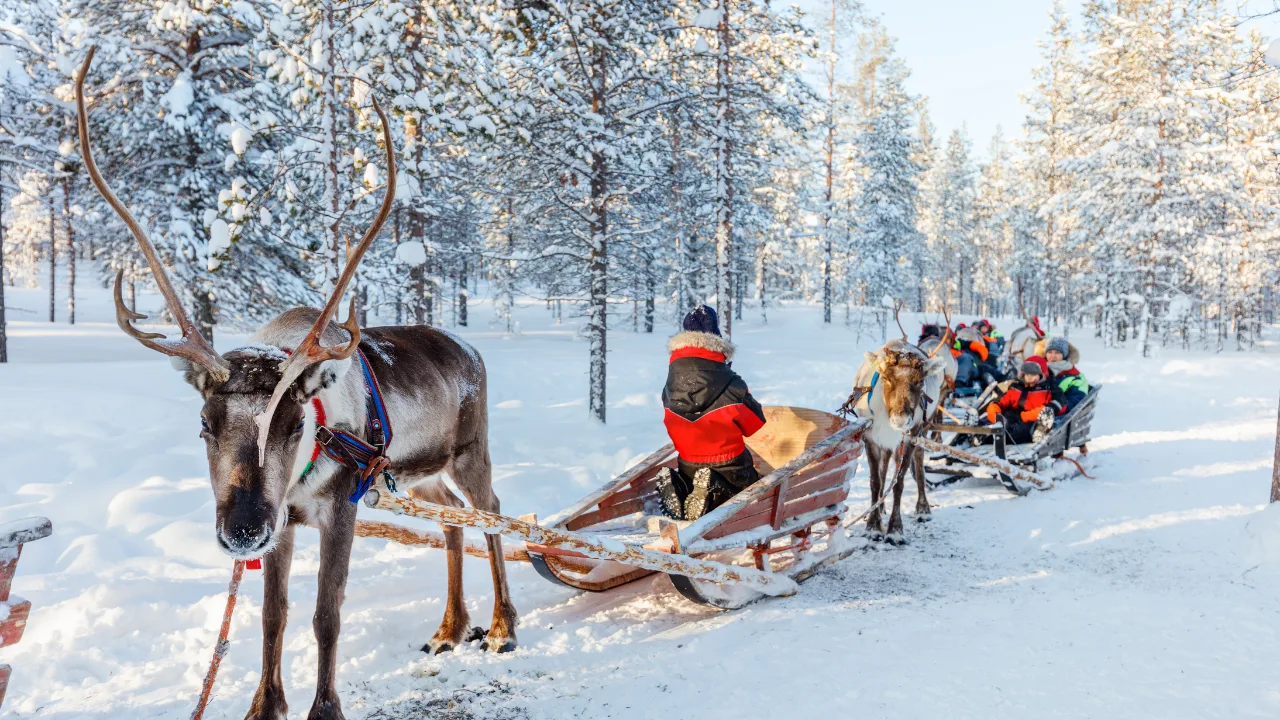 Christmas flights to Lapland are at risk, Michael O’Leary warns