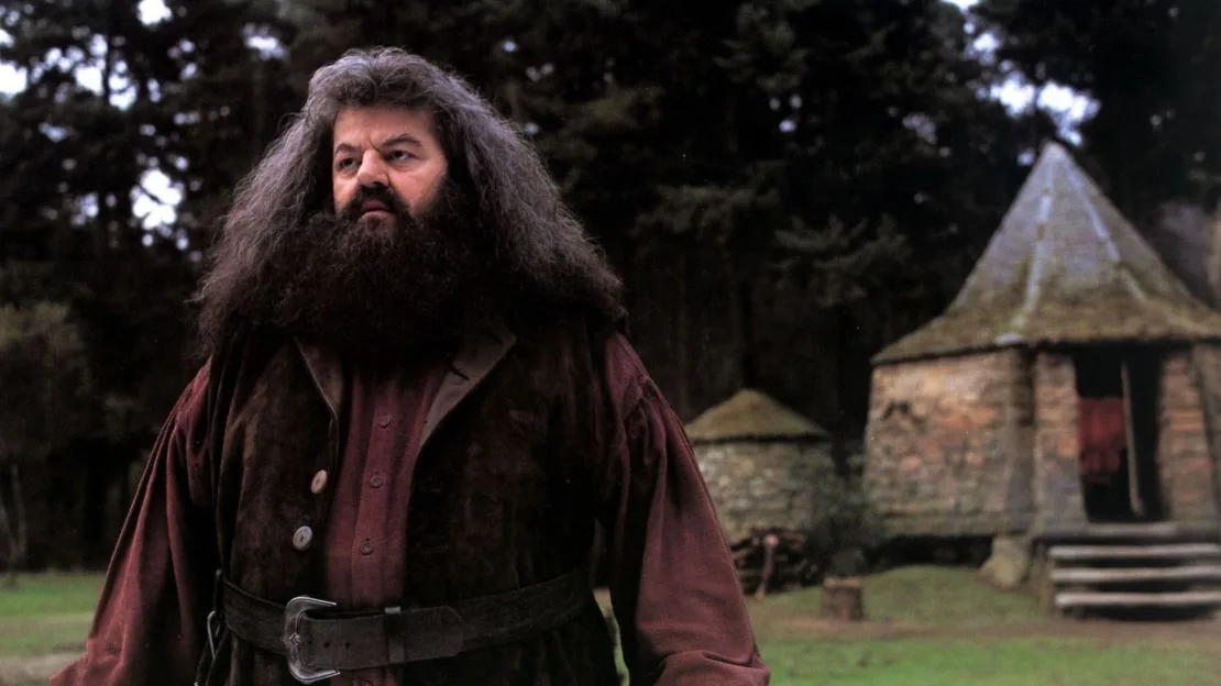 Comedy legend set to play Hagrid in Harry Potter series
