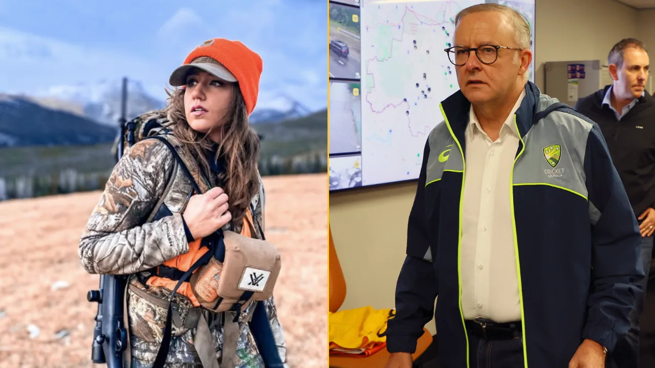 Influencer who snatched wombat from mother says she was just trying to move it from road