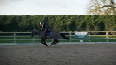 Terrifying moment Molly-Mae falls off horse and is thrown into fence