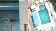 ‘World’s loneliest dolphin’ died alone in abandoned theme park