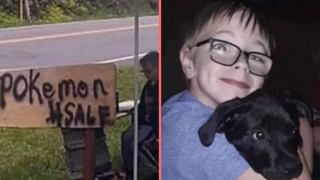 Boy, 8, sells his Pokemon collection to save his dog's life