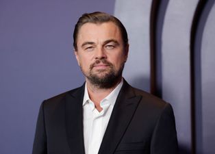Leonardo DiCaprio reportedly has hotel approved to be built in Israel
