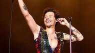 ‘Please yourself’ – Harry Styles is releasing a sex toy