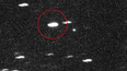 Harvard scientist says alien object hurtling towards Earth ‘may come to save us or destroy us’