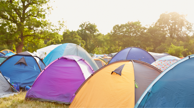 Electric Picnic Essential