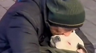 Homeless man rocks his dog to sleep every night saying his dog struggles to adjust to homelessness