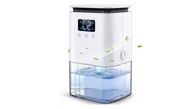 Dehumidifier that helps 'tackle damp' and save on energy bills gets huge discount