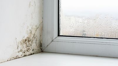 ‘Amazing’ mini dehumidifier keeps damp away during winter – and they’re just €1