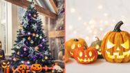 People baffled by the rise of ‘Halloween Christmas trees’