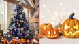 People baffled by the rise of ‘Halloween Christmas trees’