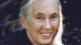 Jane Goodall remembered as a ‘tireless advocate’ as tributes pour in