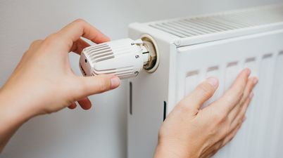 Aldi Specialbuy is back by popular demand and promises to cut heat loss up to 86%