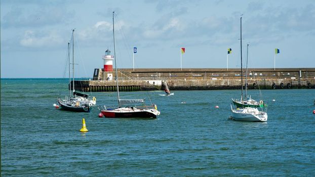 Grandmother drowns in an effort to rescue her dog 