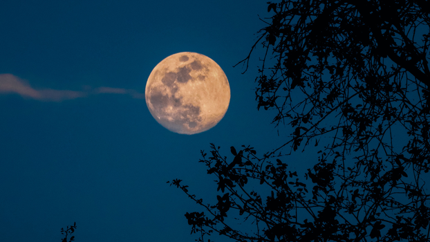 Tonight (Wednesday, 5 November), the Beaver supermoon is set to grace our skies.