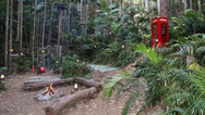 I’m a Celebrity is actually filmed in a ‘fake’ jungle with a roof over it