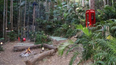 I’m a Celebrity is actually filmed in a ‘fake’ jungle with a roof over it