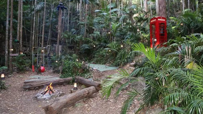 I’m a Celebrity is actually filmed in a ‘fake’ jungle with a roof over it