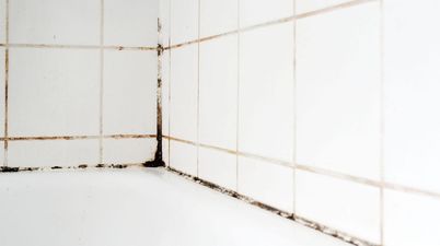 ‘Easy to use’ gadget clears stubborn mould from bathrooms – and it’s just €11