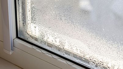 Shoppers praise gadget that ‘packs a punch’ and clears condensation in seconds